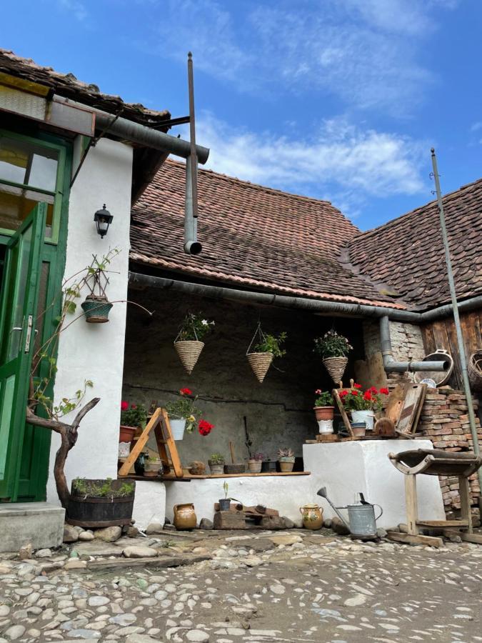 Saschiz 175 Guesthouse 外观 照片