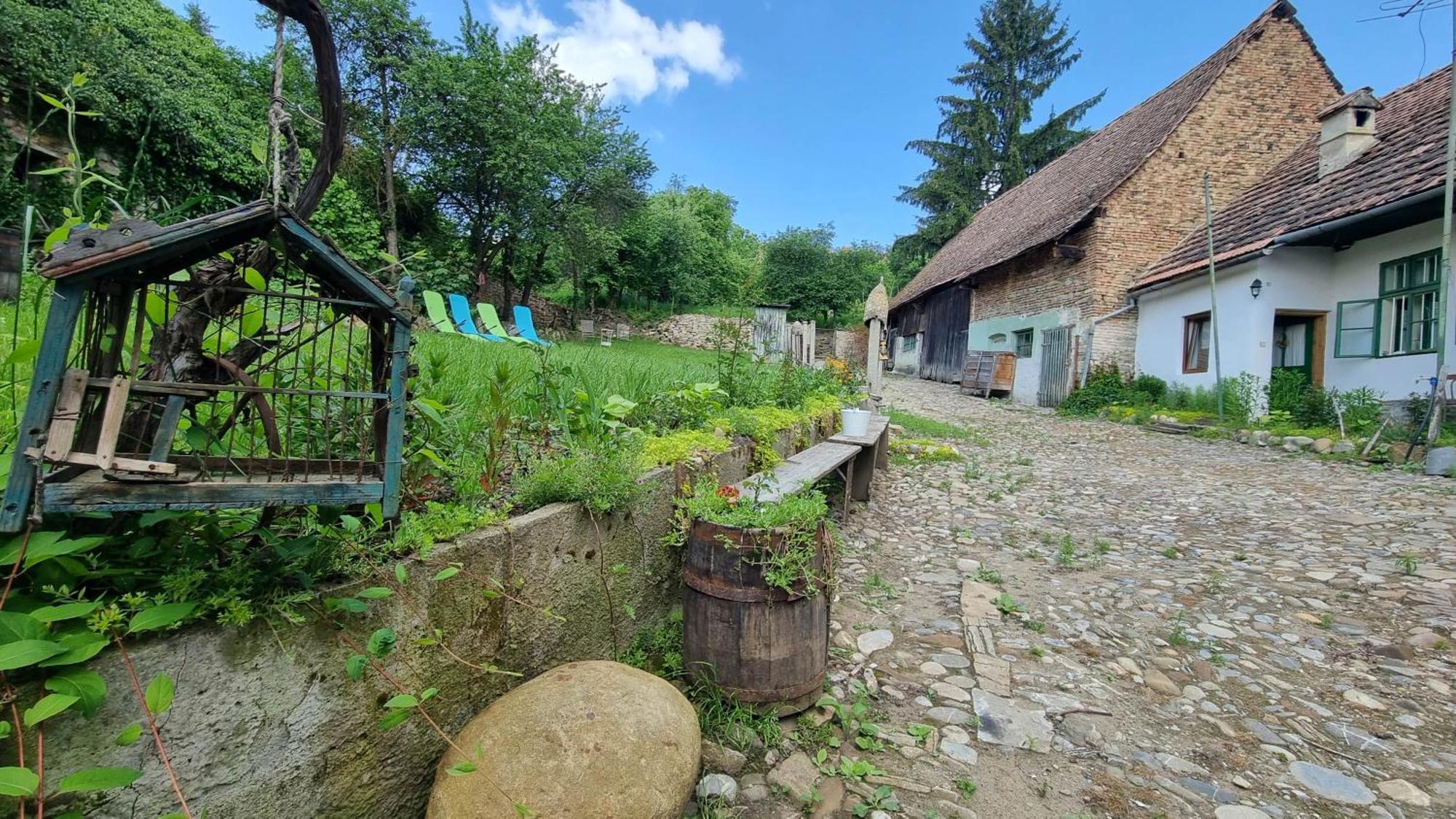 Saschiz 175 Guesthouse 外观 照片