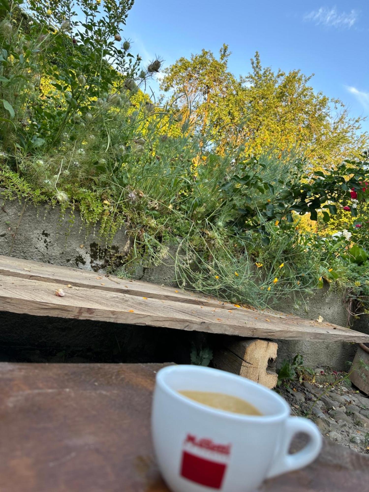 Saschiz 175 Guesthouse 外观 照片