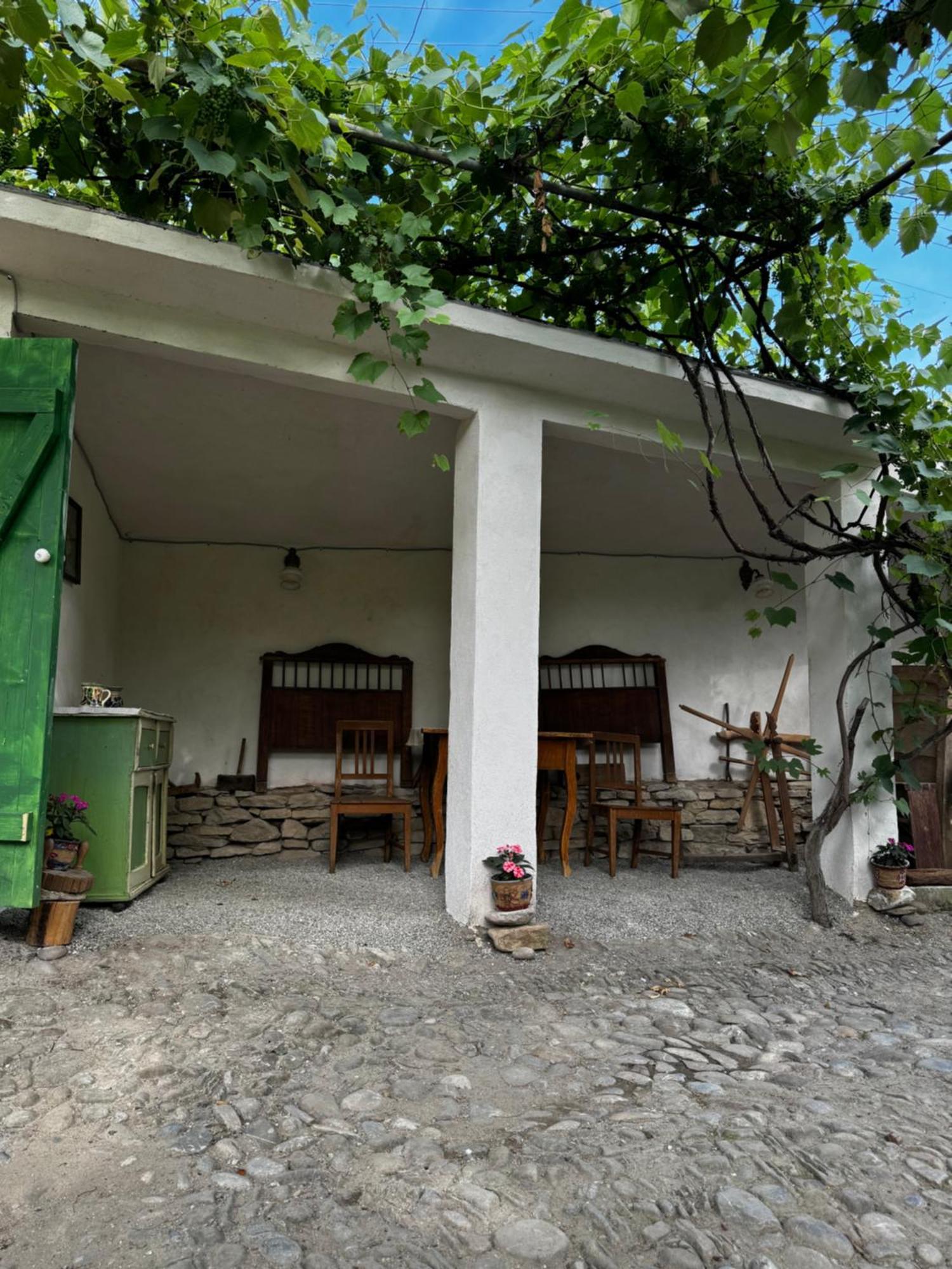 Saschiz 175 Guesthouse 外观 照片